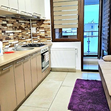 Karina New Flat Near Palas Mall Iasi Bagian luar foto